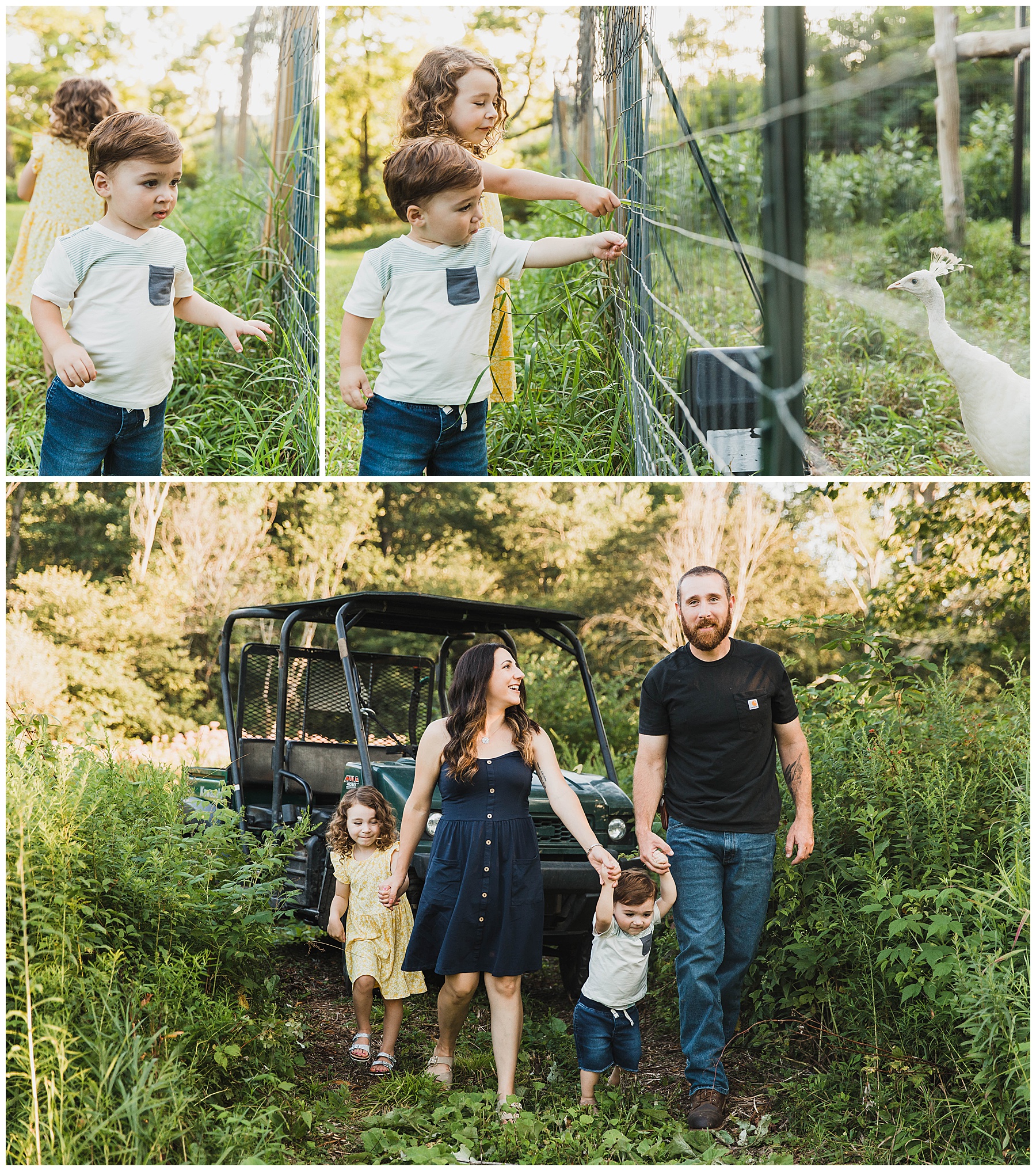 Lifestyle family photographer in Upstate NY, family exploring thier backyard during photo session